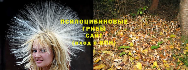 МДМА Арсеньев