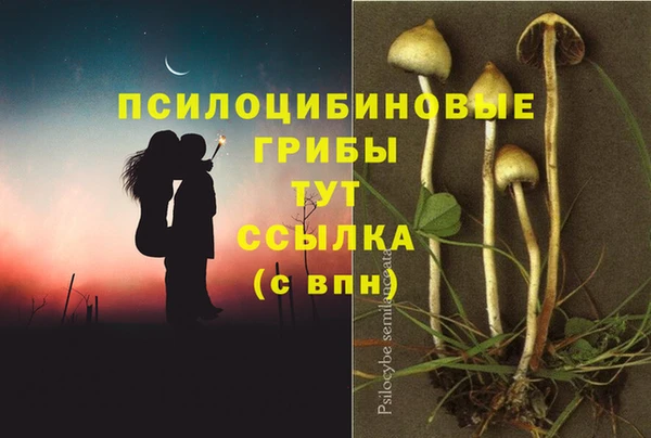 МДМА Арсеньев