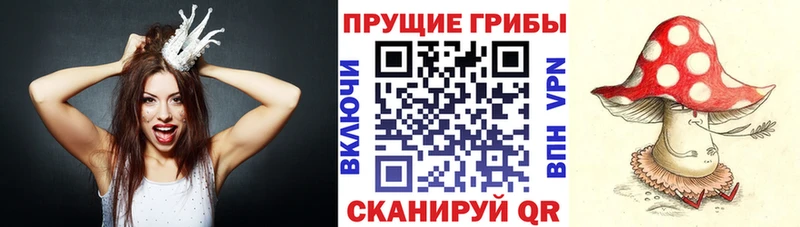 Галлюциногенные грибы Psilocybe  купить  цена  маркетплейс какой сайт  Сарапул 